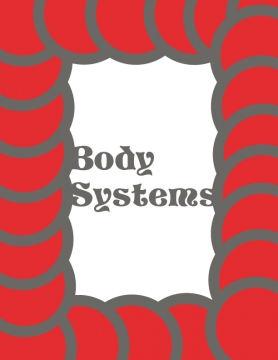 Body system book