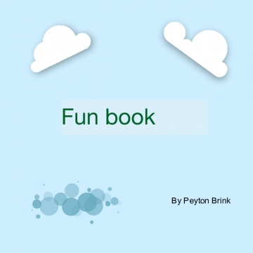 Fun Book