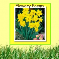 Flowery Poems