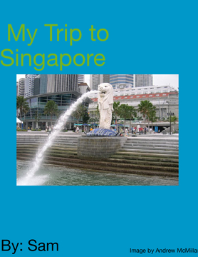 Singapore trip