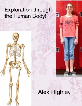 Exploration through the Human Body!