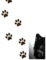 *