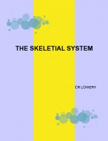 The Skeletial System