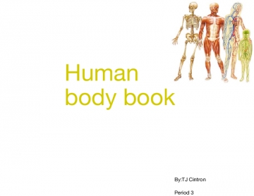 Human body book
