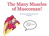 The Muscoman