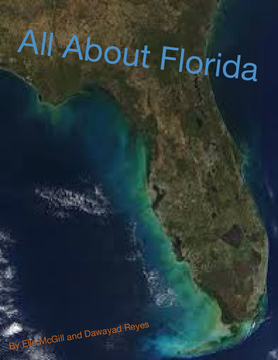 All About Florida
