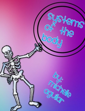 System of Body