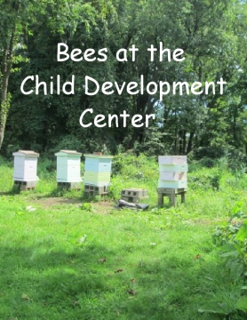 Bees at the CDC