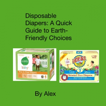 Disposable Diapers: A Quick Guide to Earth-Friendly Choices