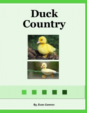 Duck Country