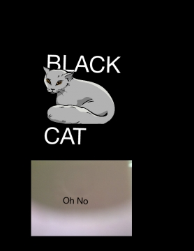 Black cat