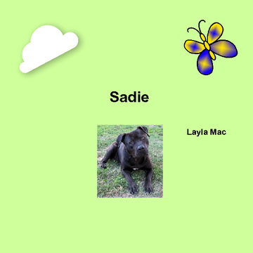 Sadie