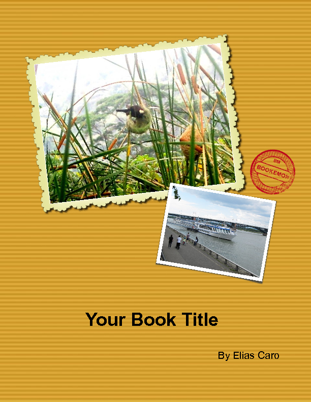 book cover