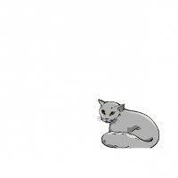*