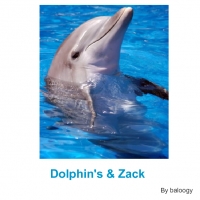 Dolphin's & Zack