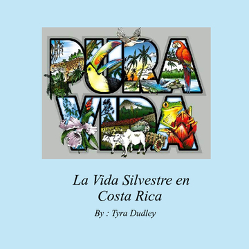 Pura Vida : Vida Silvestre En Costa Rica