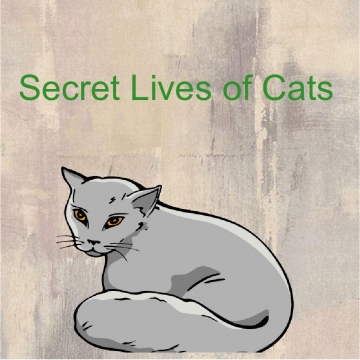 Secret Lives of Cats