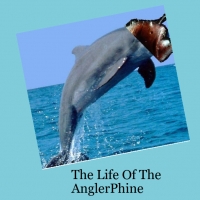 The Life Of AnglerPhin