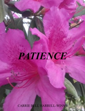 PATIENCE