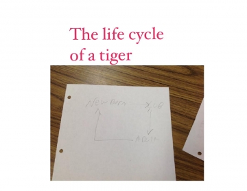 *