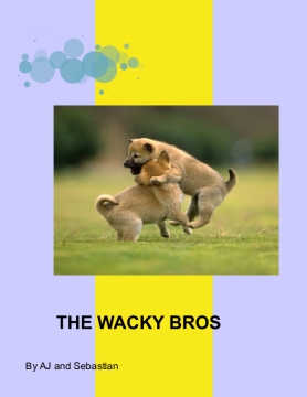 THE WACKY BROS