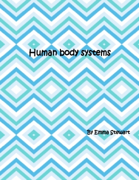 Body systems in our body