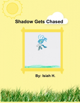 Shadow Gets Chased