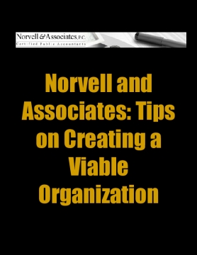 Norvell and Associates: Tips on Creating a Viable Organization