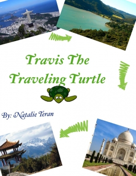 A Turtle's Trip