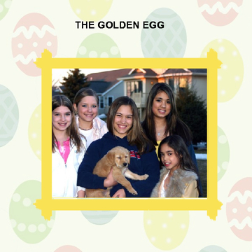 THE GOLDEN EGG