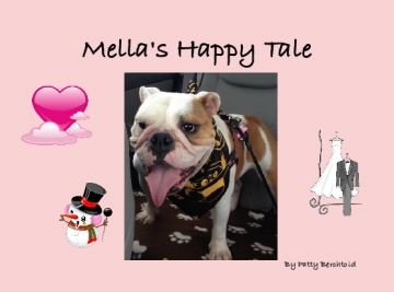 Mella's Happy Tale