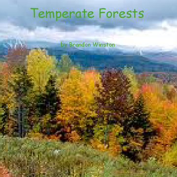 Temperate Forests