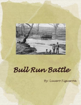 Bull Run Battle