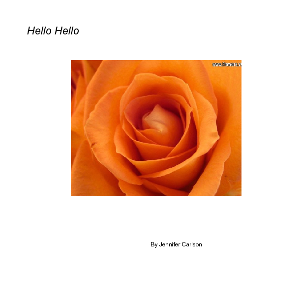 book cover
