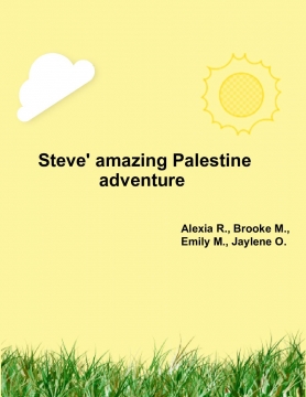 Steves adventure