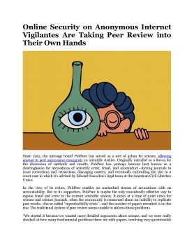 Online Security on Anonymous Internet Vigilantes Are Taking Peer Review into Their Own Hands