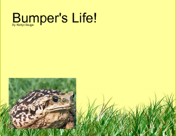Bumper's Life