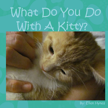 What Do You Do With A Kitty?