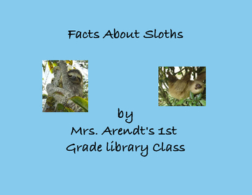 Facts About Sloths