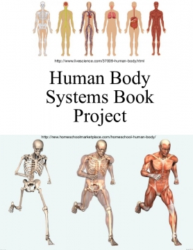 Human Body systems