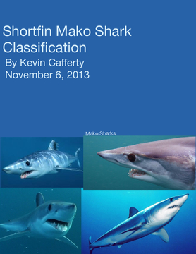 Mako Shark Classification