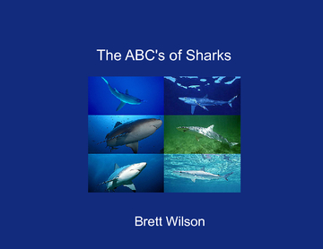 The ABC's of Sharks