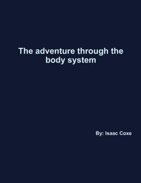 The adventure through the body system