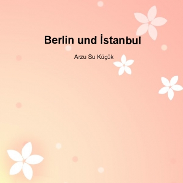 Berlin und İstanbul