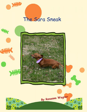 The Sara Sneak