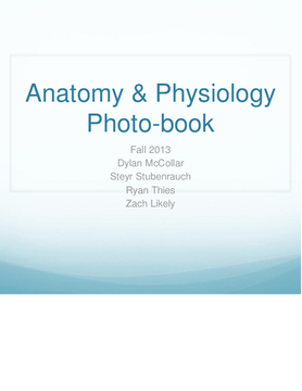 Anatomy and Physiology Atlas Project