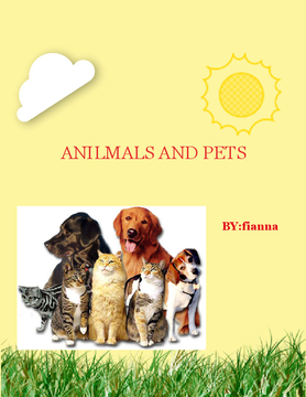 animals and pets