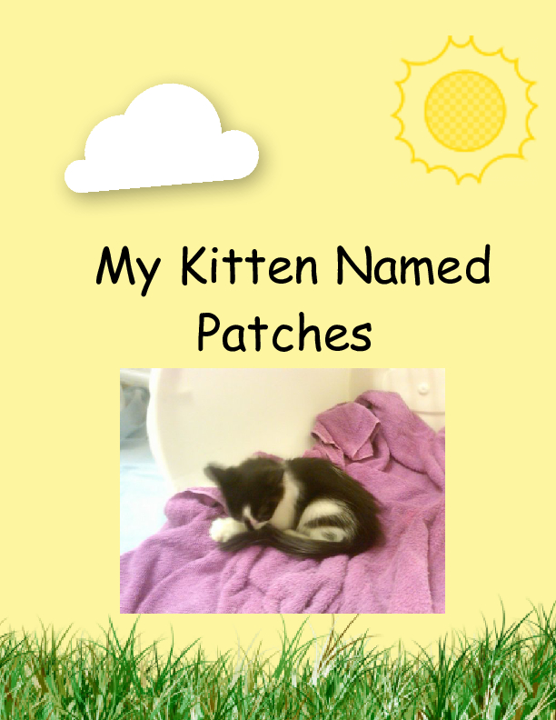 book cover