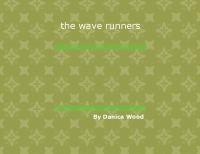 the wave runners