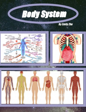 Body System